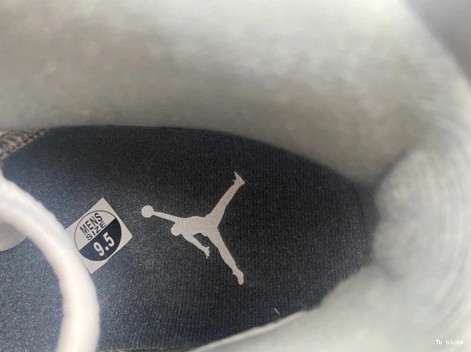 Reps TBK CT8529-100 Cool Jordan Grey Air 6 0709